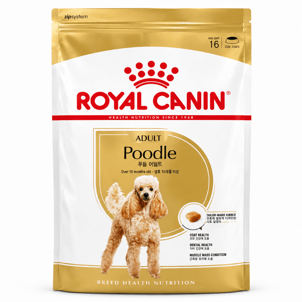 로얄캐닌 강아지사료 푸들어덜트 8+ 건식 1.5kg 노화 관리에 도움, 닭, 1.5kg, 1개