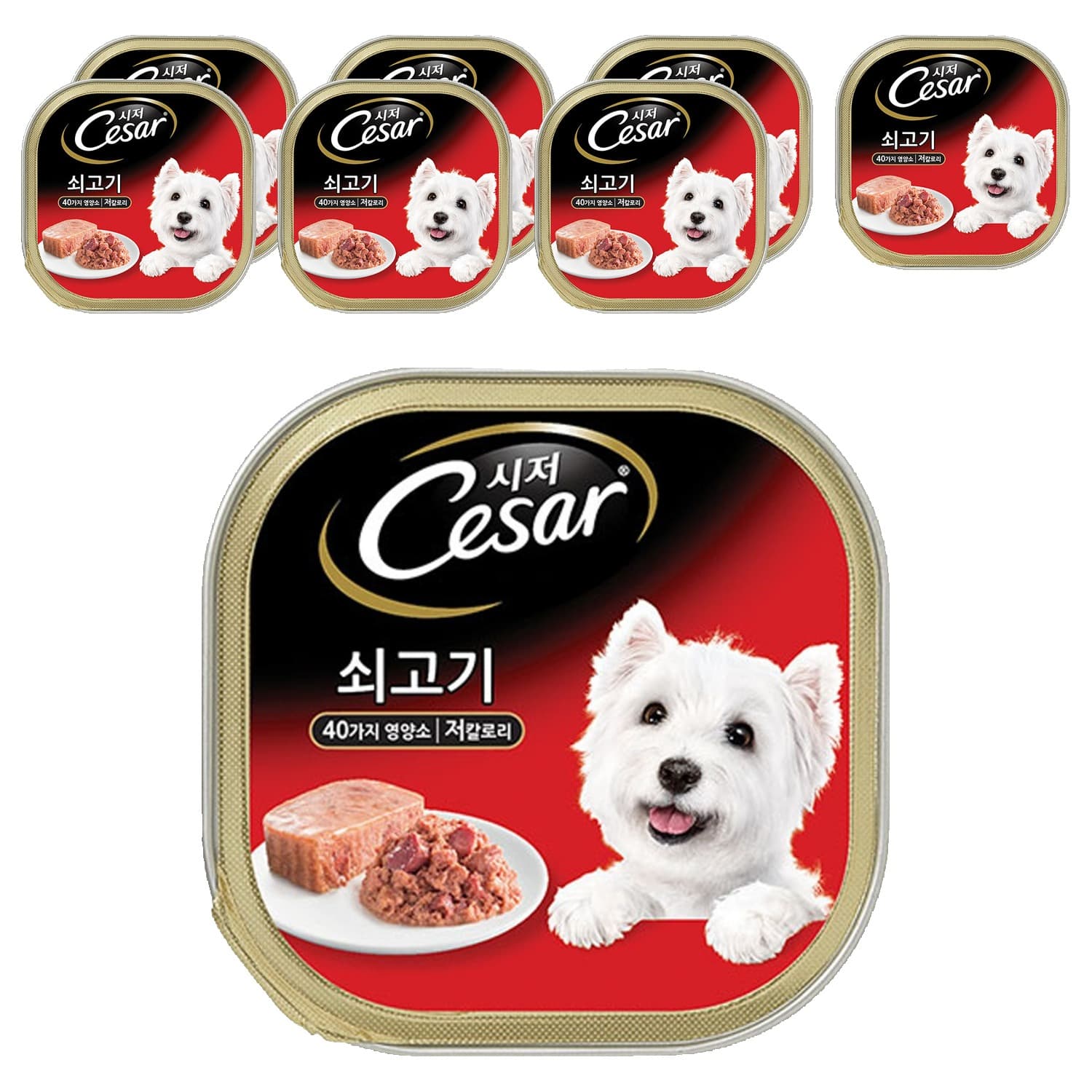 시저 1세 이상 강아지 주식캔