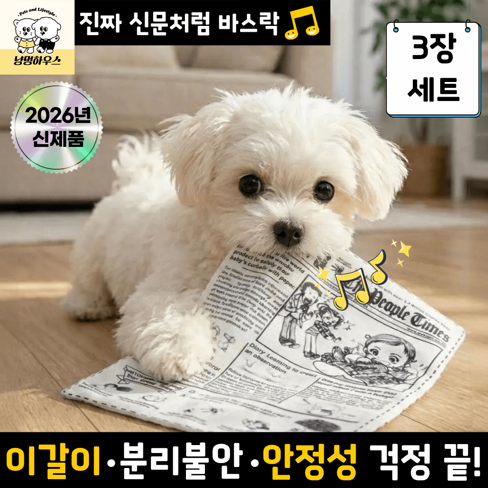 냥멍하우스 바스락북 강아지 혼자놀기 소리나는 신문책 장난감